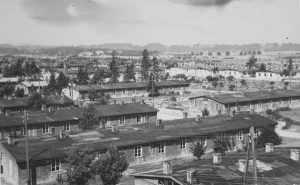 Die Baracken des DP-Lagers Pocking-Waldstadt | View of the barracks of DP camp Pocking-Waldstadt